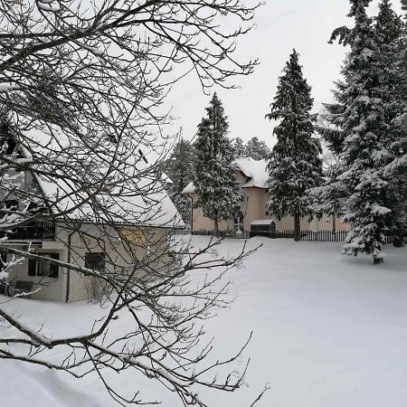 Kuca Za Odmor Zlatibor Villa Dış mekan fotoğraf
