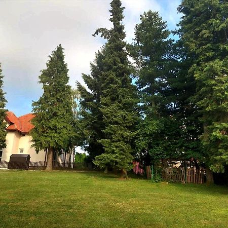 Kuca Za Odmor Zlatibor Villa Dış mekan fotoğraf