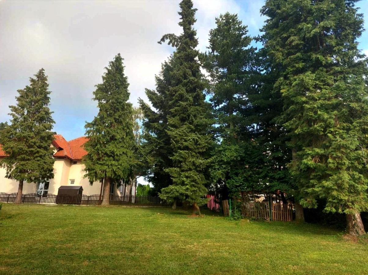 Kuca Za Odmor Zlatibor Villa Dış mekan fotoğraf