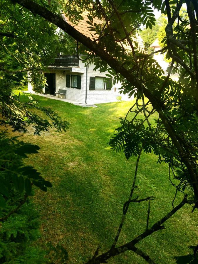 Kuca Za Odmor Zlatibor Villa Dış mekan fotoğraf