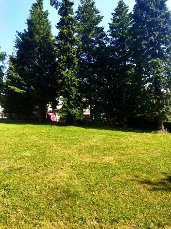 Kuca Za Odmor Zlatibor Villa Dış mekan fotoğraf