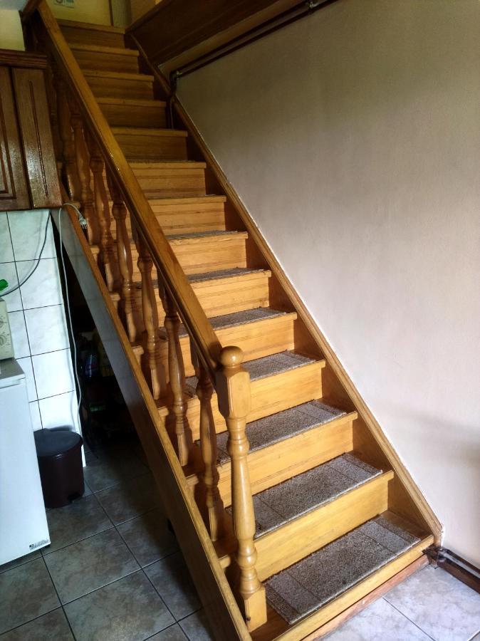 Kuca Za Odmor Zlatibor Villa Dış mekan fotoğraf